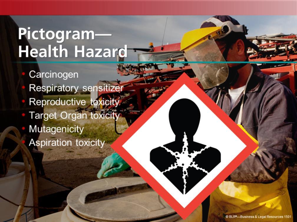 This is the health-hazard pictogram.