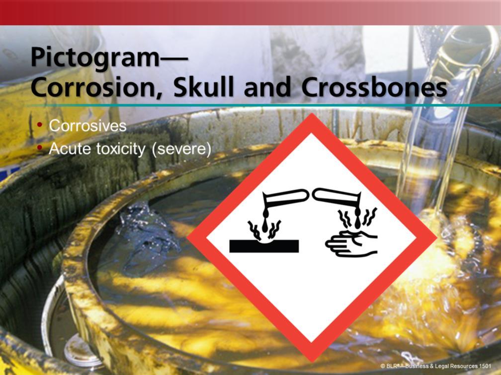 This is the corrosion pictogram. This pictogram on a chemical label means that the substance causes skin burns, eye damage, or destroys metals. Next is the skull and crossbones pictogram symbol.