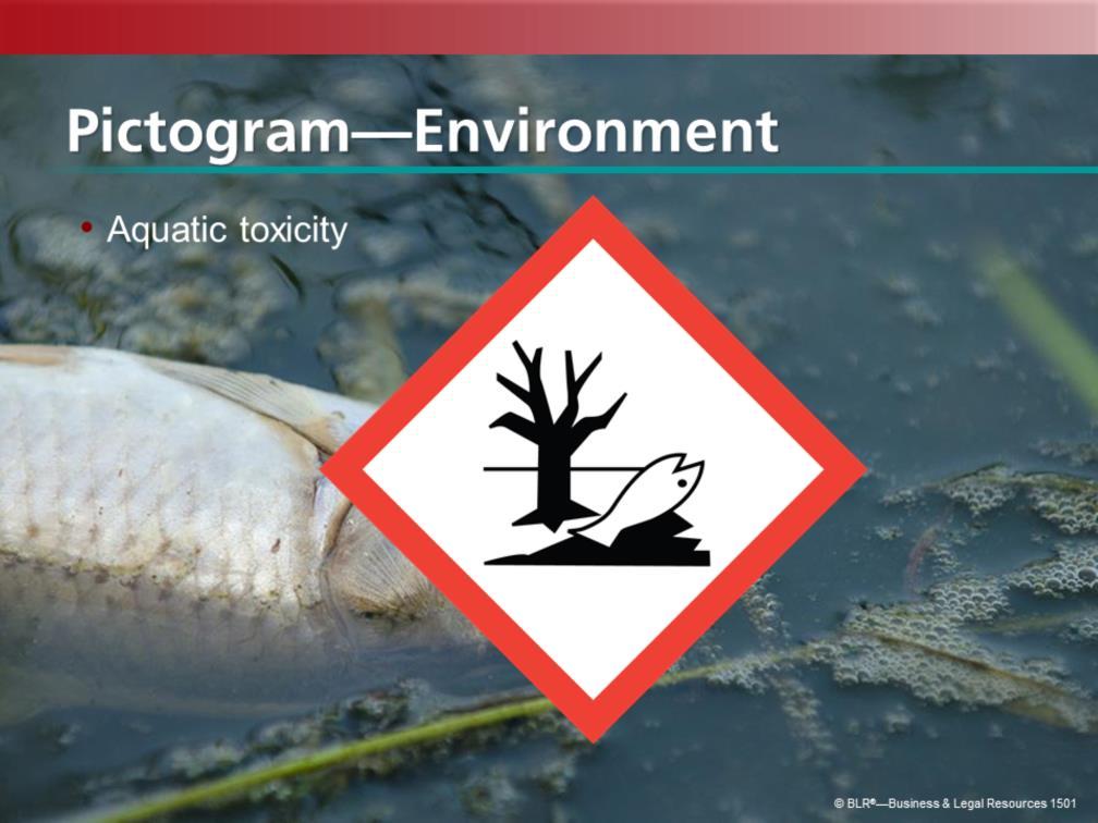 This is the pictogram for Environment.