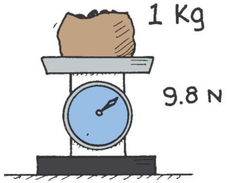 Mass A Measure of Inertia One Kilogram Weighs 9.