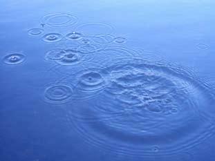 Air at higher altitudes is usually cooler than air near the ground. So as the water vapor rises, it cools and condenses, forming tiny drops of water. These droplets are suspended in the air as clouds.