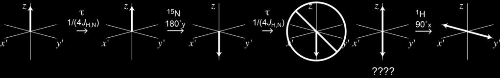 INEPT 15 N magnetization not easily understood without quantum approach - τ-180-τ: 180 moves N Hα and N Hβ to ± z