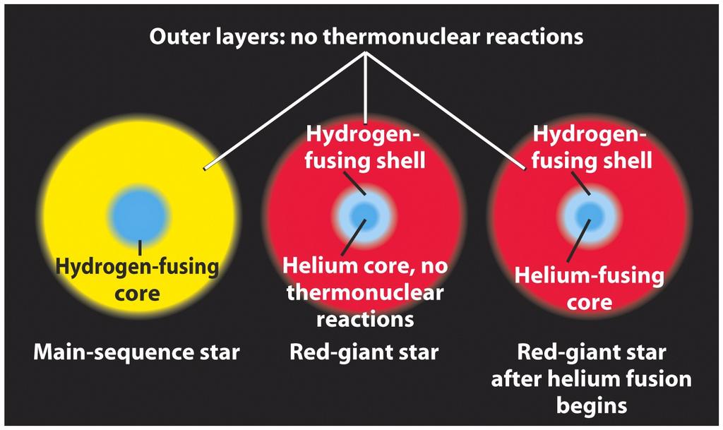When the central temperature of a red giant reaches about 100 million K, helium fusion begins