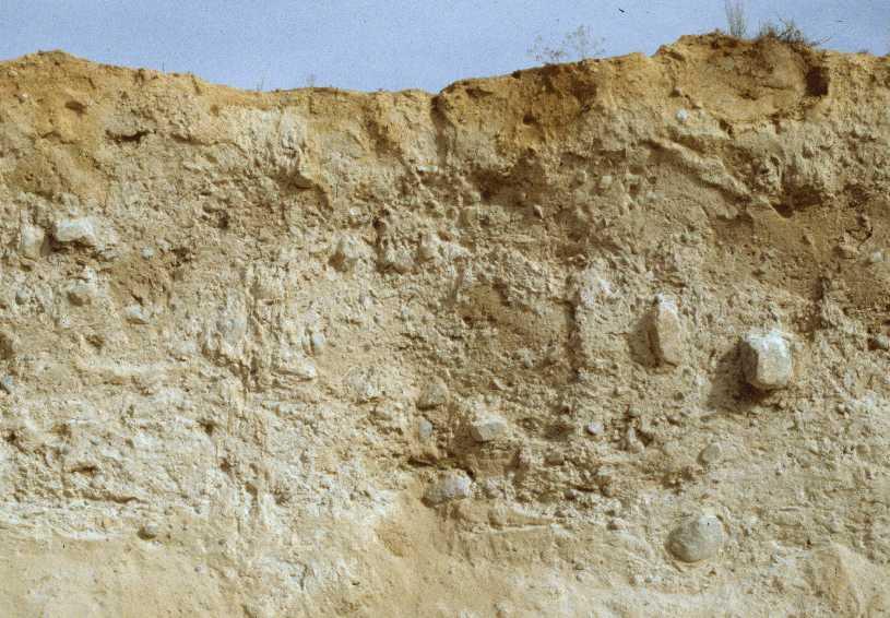 This photo is an outcrop of a glacial till deposit. Glacial till is a heterogeneous mixture of clay to boulder size particles deposited within or beneath glacial ice.