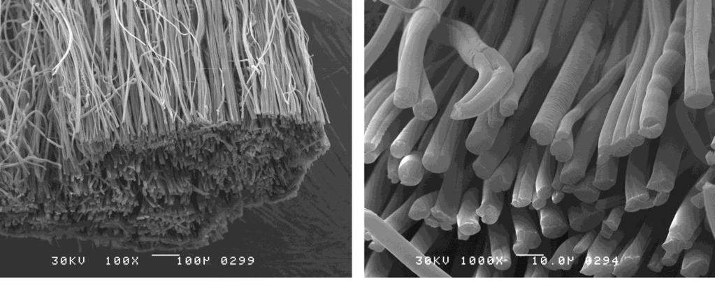 Electrospinning Scale-up A near field electrospinning pilot system was developed and demonstrated as a first step toward the production of continuous carbon nanofibers and MWNT tows.