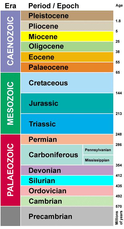 Using the Geologic time line, answer the following questions. 27. When did the Ordovician Period begin? 492 mya 28.