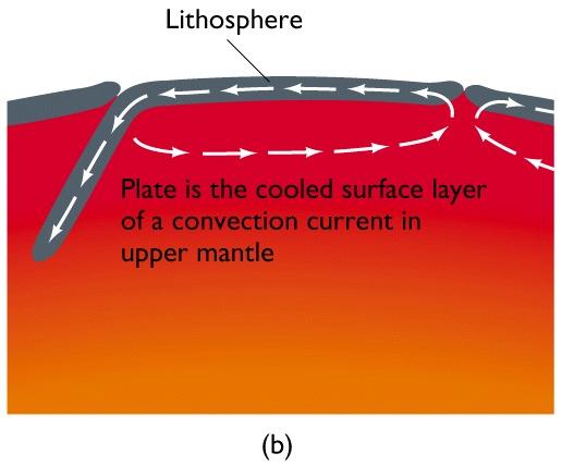 The motions of lithospheric plates are