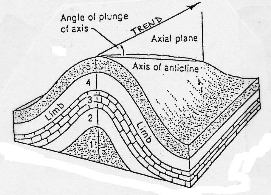 ock diagrams below. b. Which numbered layer corresponds to the oldest rock unit of the anticline? c. Which numbered layer corresponds to the youngest rock unit of the anticline?