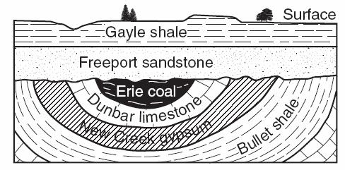Geologic History Review Use the picture below to answer questions 1-3. 1. Label the unconformity. 2. Where did the Erie coal come from? 3.