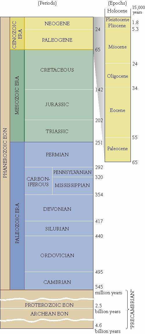 History of Geologic Time Geologic Systems Body of rock that contains fossils of diverse