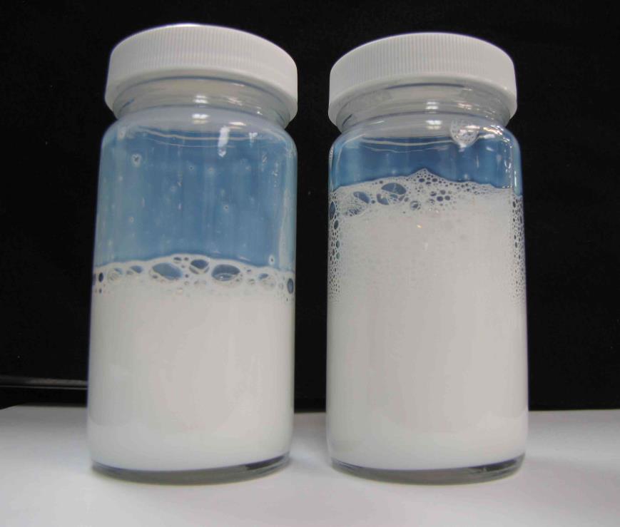 Lower Foam 50 ml of Emulsion in a 4