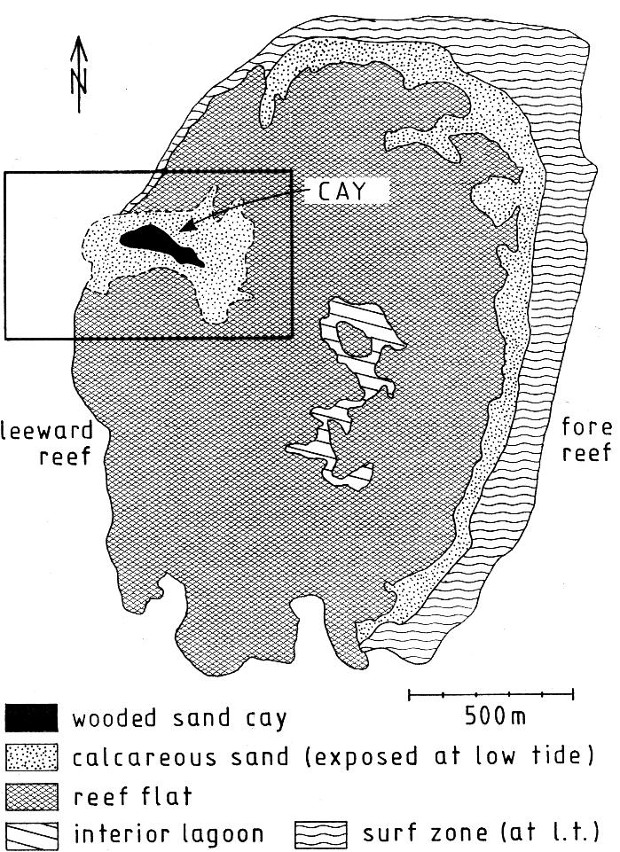 page 276 Fig. 2. Map of the Maziwi reef based on the 1975 aerial photograph. Fig. 3.
