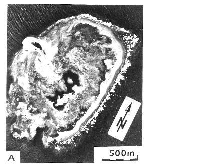 page 279 Photos 1: A) Vertical aerial photograph showing the Maziwi coral reef in 1975.