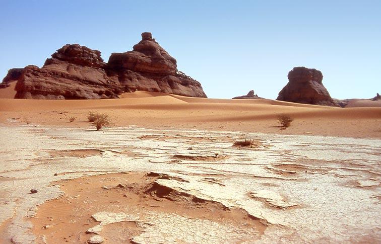 Desert Temperature: 10 to 35 C