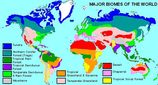 Major Biomes