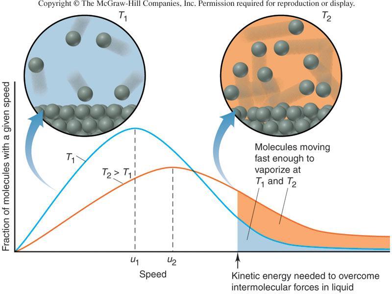 Vapour Pressure At a given T, molecules in liquid have a distribution of speeds.