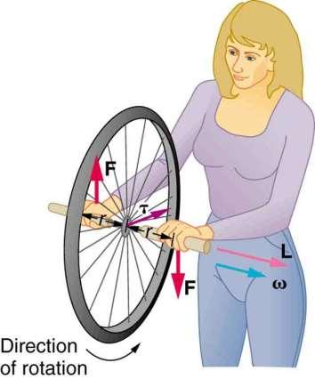 Spinning Wheel What happens