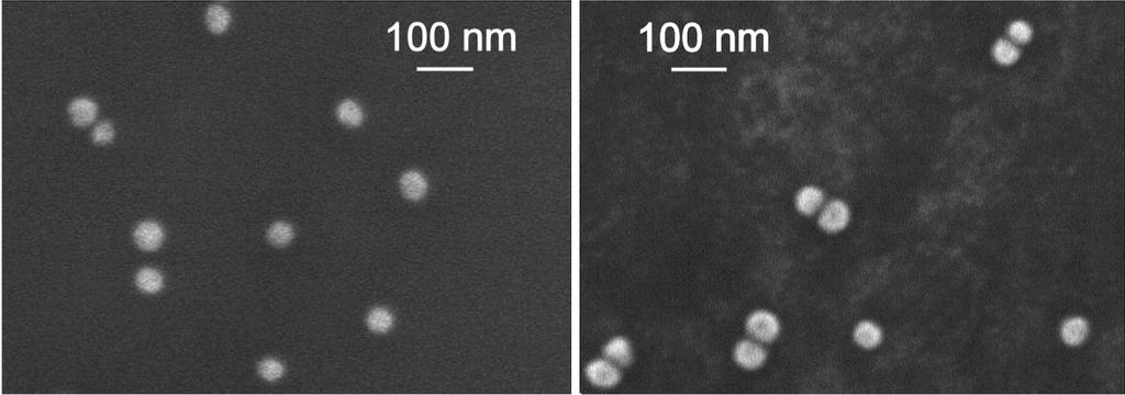 Figure S1 Scanning electron microscopy images of monomers (left) and of the mixture of monomers and dimers (right), both deposited onto a clean silicon substrate from aqueous suspensions.