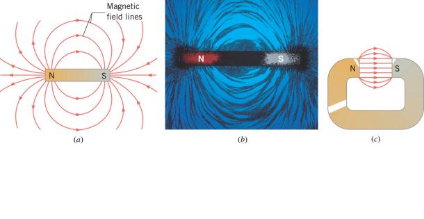 The magnetic field lines and pattern of iron filings in the vicinity of a