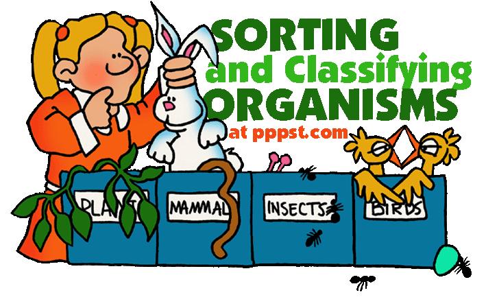 VOCABULARY Species: a group of organisms that can