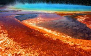 extreme environments Methanogens make methane gas Thermophile love heat
