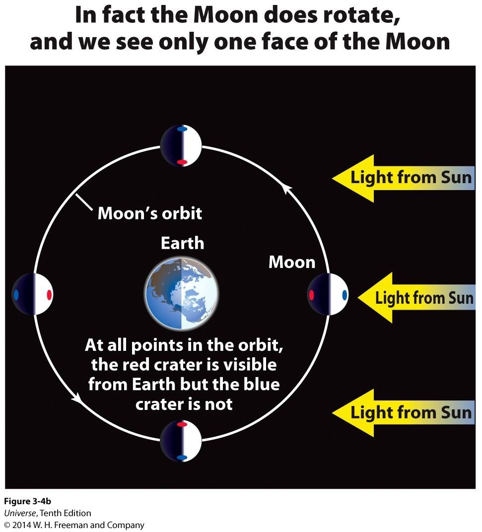 The Moon always Show the Same Face The Moon always has the same hemisphere (face) towards the earth. The Moon does rotate. It rotates exactly once for each orbit in a synchronous rotation.