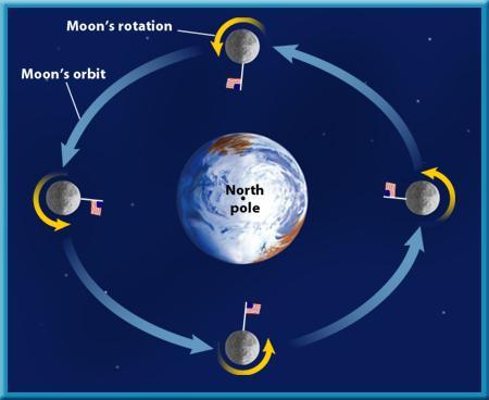 Motions of the Moon The Moon s rotation takes 27.3 days the same amount of time it takes to revolve once around Earth.