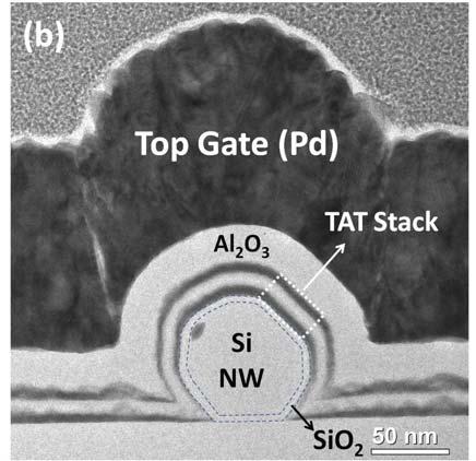 We fabricated Ta 2 O 5, Ta 2 O 5 /Al 2 O 3 /Ta 2 O 5 (TAT), and a reference HfO 2 covering the tunneling oxide on Si nanowire as charge-trapping layer, with thickness of 20, 6/8/6, 20 (unit: nm),