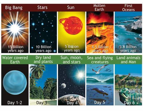 The Bible says that earth was created before the stars and that trees were created before the sun. However, the big-bang view teaches the exact opposite.