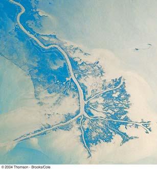 estuaries or the ocean Produce big sedimentary fans Barrier Islands