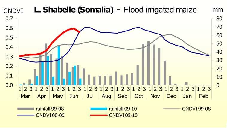 CONVERGENCE OF EVIDENCE Example of non-convergence This is a combined graph for flood irrigated maize in the Lower Shabelle region of Somalia.
