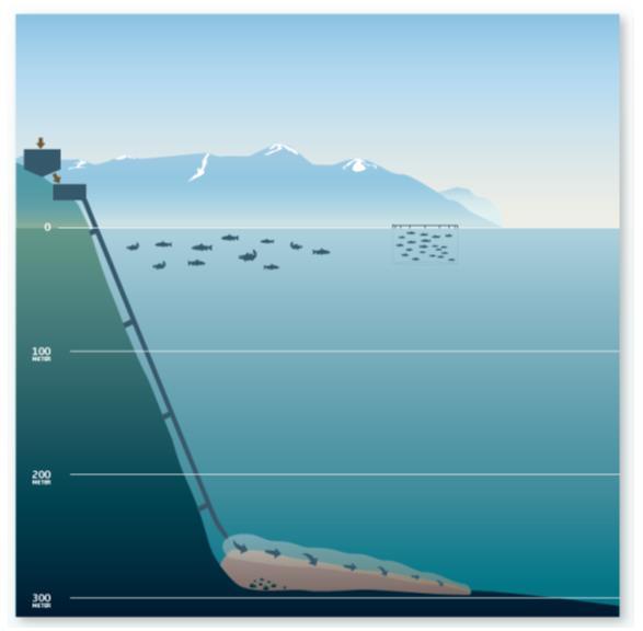 Zoning plan and environmental permits fully granted Deep-sea