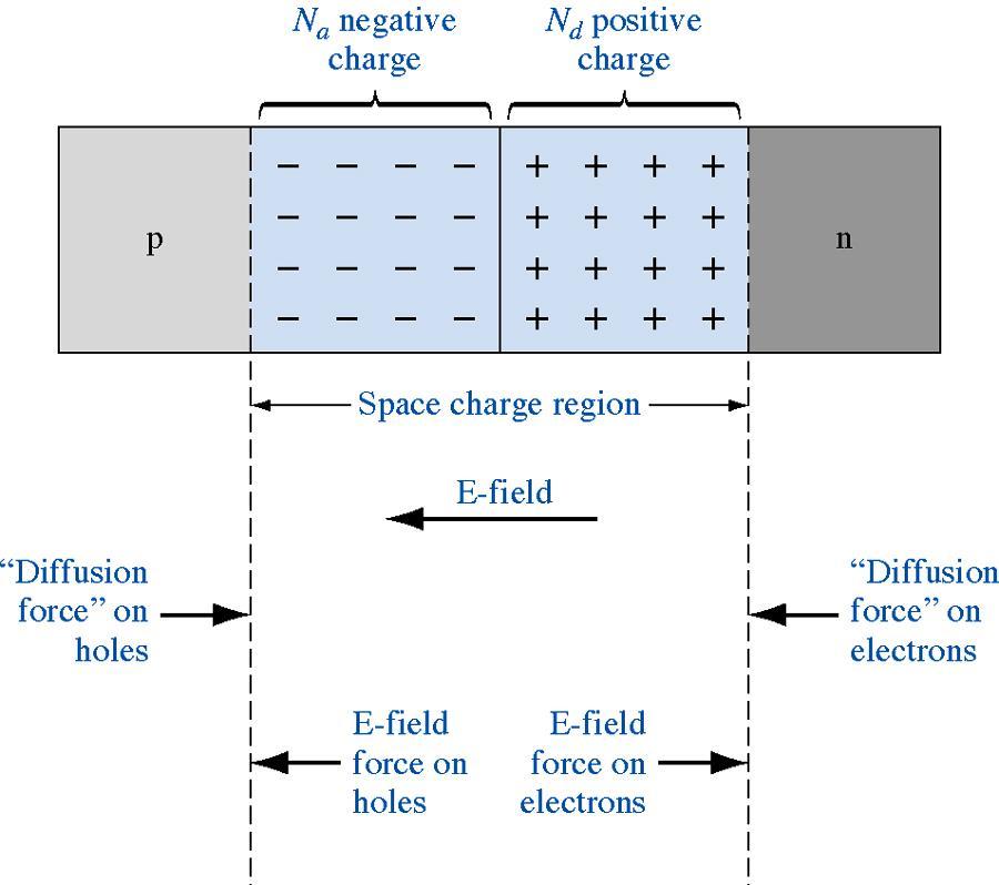 7.1 BASIC STRUCTURE OF THE PN JUNCTION As electron diffuse from n to p region, positively charged donor are left in the n region.