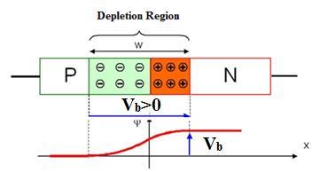 P-N Junction Structure Will the electron-hole recombination happens for all charge carriers?