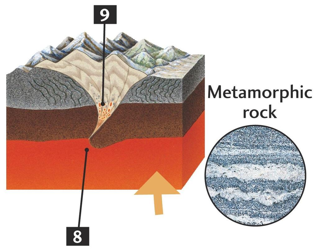 (e) The Rock Cycle Deformation & Metamorphism -Continental collision