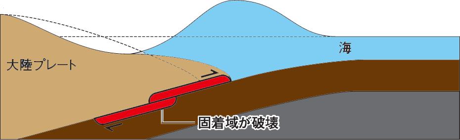 Back slip, earthquake, and tsunami (1) back slip The both sides of source