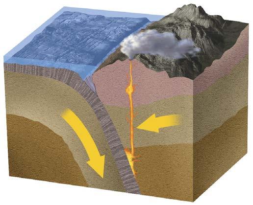 Where do volcanoes form? At convergent boundaries, one plate usually sinks beneath the other.
