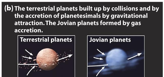 Formation of Terrestrial Planets Protoplanets: gravitational attraction between the planetesimals
