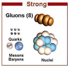Weak nuclear force (force mediating particle W & Z bosons) The weak nuclear force is involved in radioactive beta decay.
