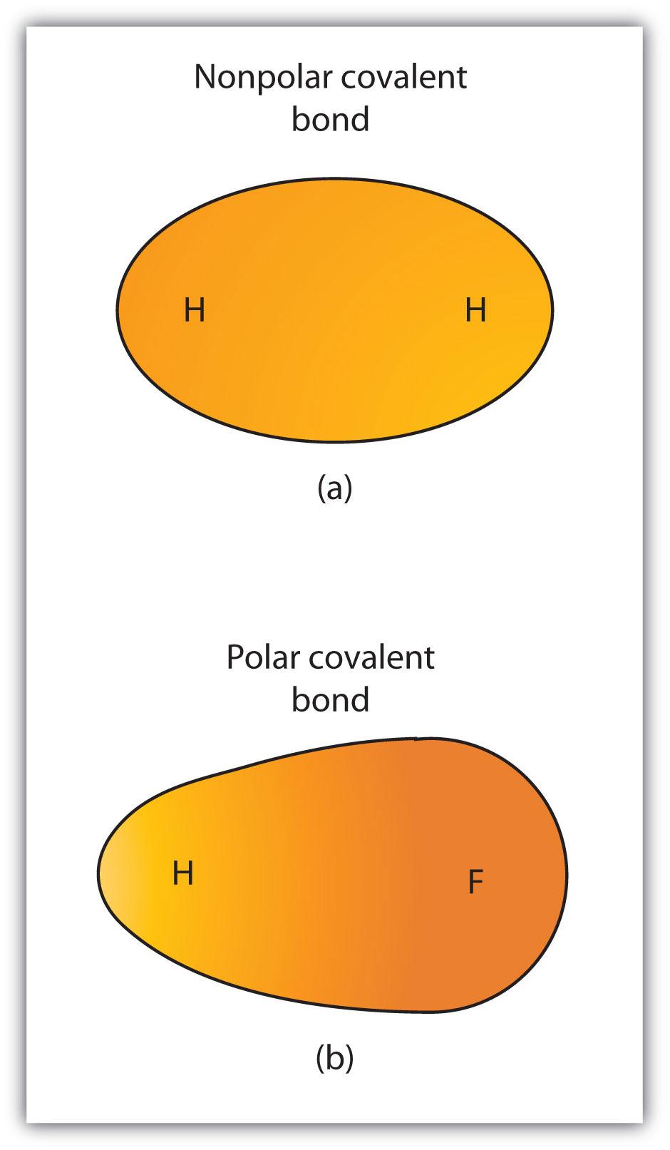 (a) The electrons in the covalent bond are equally shared by both hydrogen atoms. This is a nonpolar covalent bond.