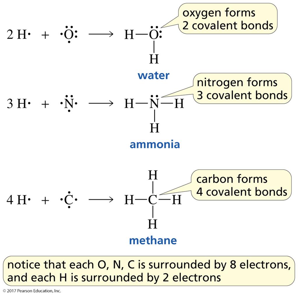 ow Many Bonds Does an Atom orm?