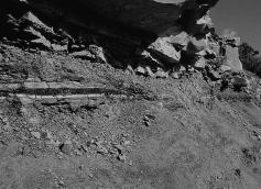 Meteor Crater, Arizona: 50,000 years ago (50 meter object) Iridium Layer: Evidence of an Impact Iridium is very rare in