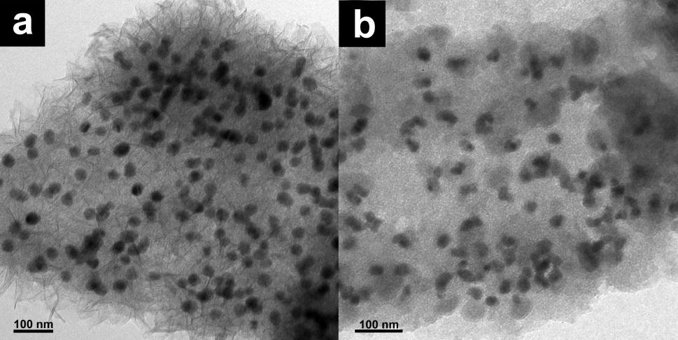 Fig. S5. SQUID data of Fe 2 O 3 -GO and Au/Fe 2 O 3 -GO nanocomposites. Fig. S6.