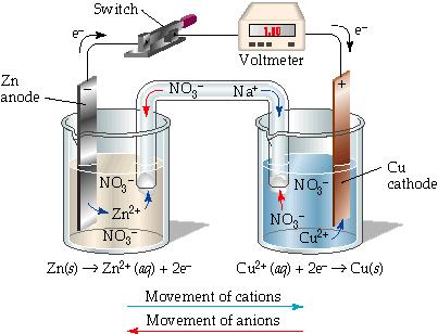 ANIONS from the salt move to the anode while CATIONS from the saltmove to the cathode! Exercise 1 a.