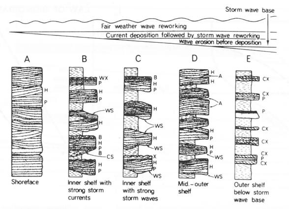6. The following sketch shows how storm deposits vary from near shore to deeper water. For each column, mark an erosion surface that represents the bottom of a storm deposit.