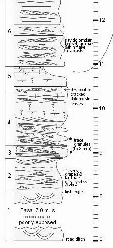 13. The following stratigraphic column represent a sequence of rocks deposited in a coastal depositional environment.