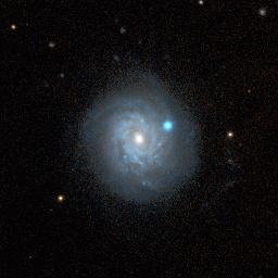 SN 1998aq TYPE Ia SUPERNOVAE SN 1998dh SN 1998bu For several weeks the
