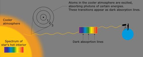 Absorption Spectra of Stars The continuous spectrum of a star forms absorption