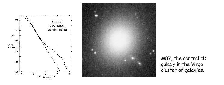 Exceptions: cd galaxies cd galaxies - extended power-law envelopes seen predominantly in dominant cluster galaxies cd = cluster diffuse Found in regions of local high galaxy number density, often at