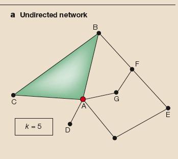 Classification of Networks: directed & undirected n. Parameters to describe networks: averages!